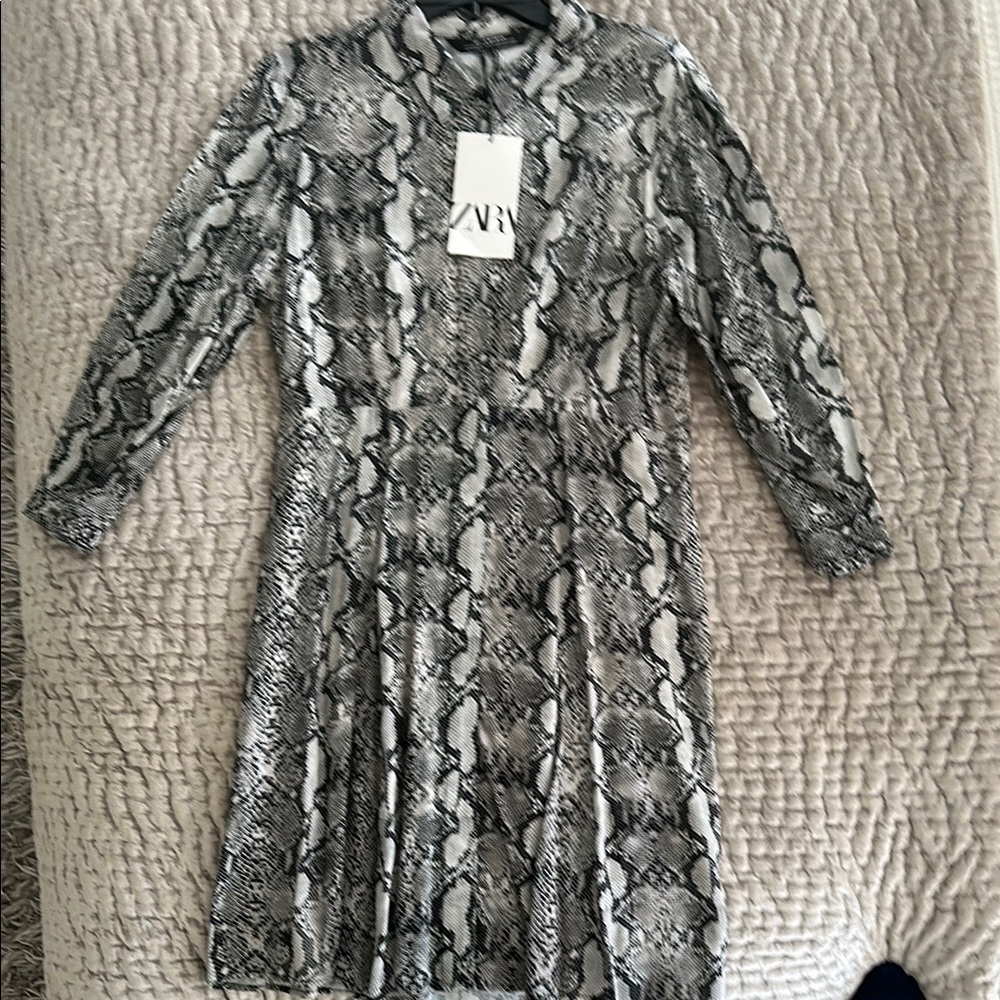 Zara Gray and Black Sheath Dress with Mock Neck and Bishop Sleeves